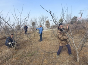 乡村振兴工作动态(第155期)