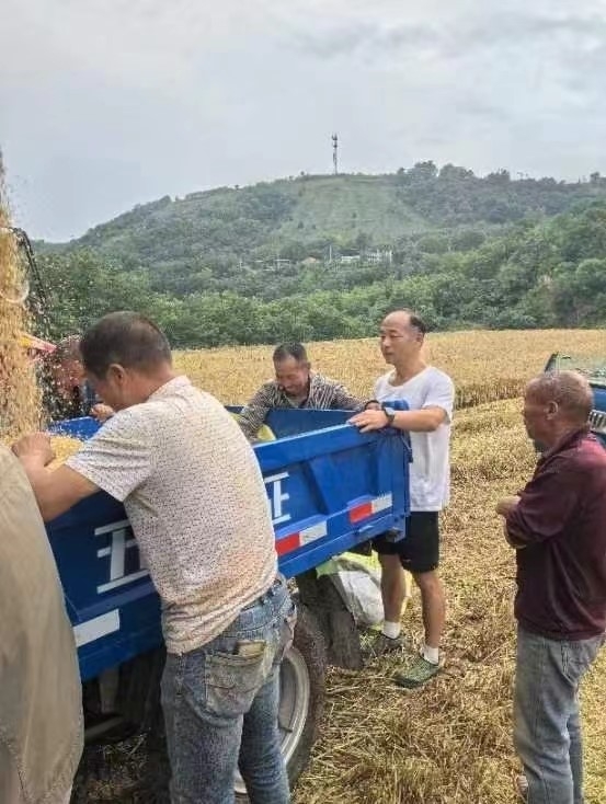 乡村振兴工作动态(第158期)