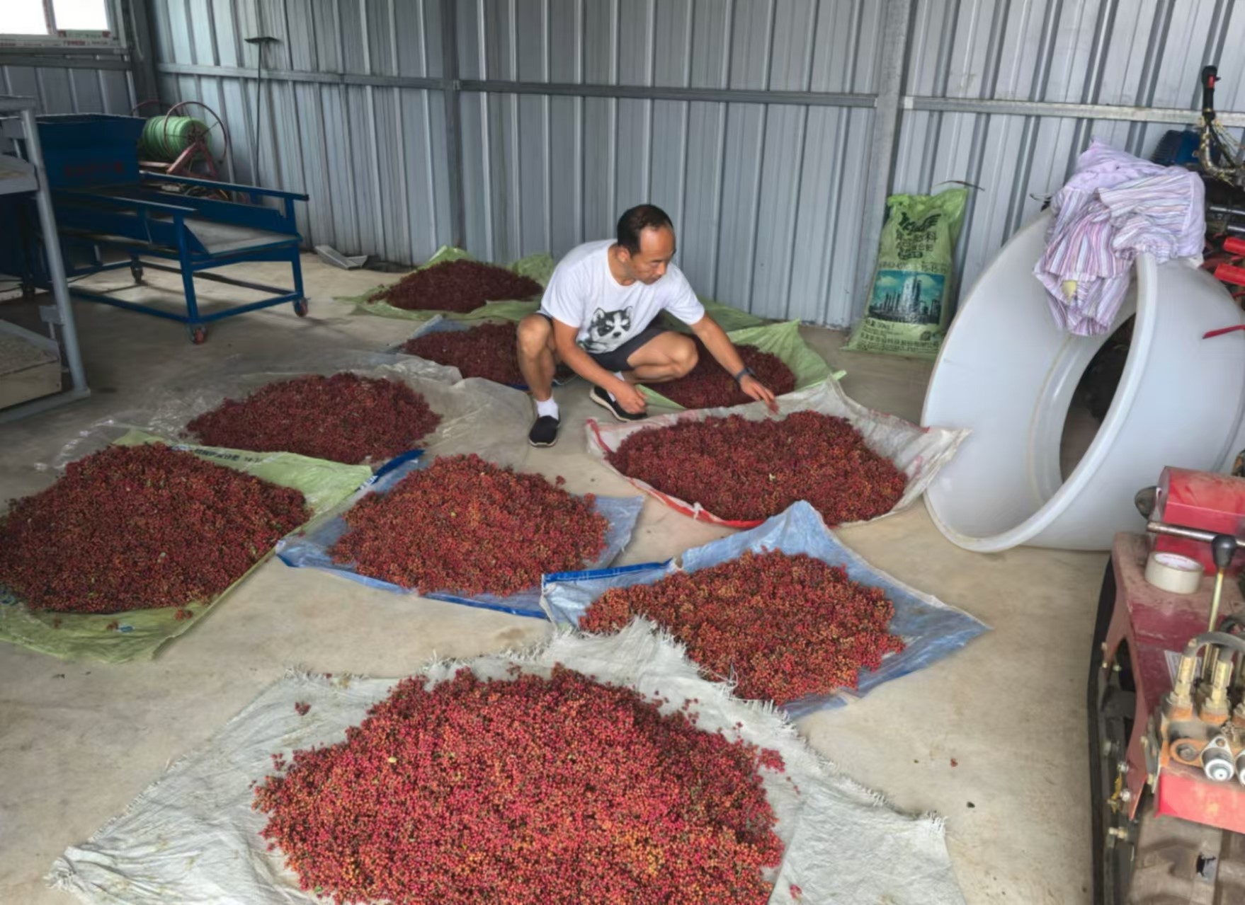 乡村振兴工作动态(第160期)