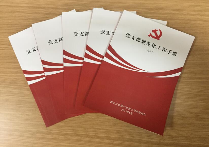 公司党委着力推进基层党建工作系列报道(之四)