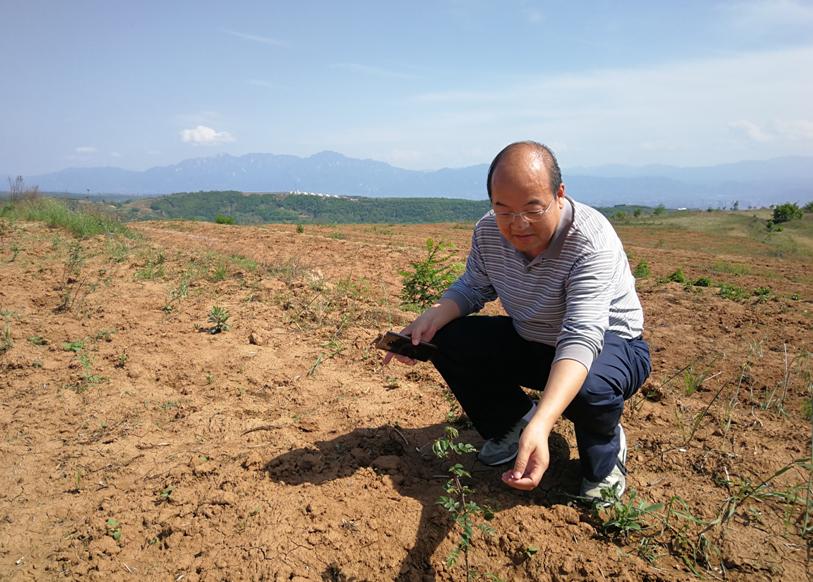 1558344281946397.png 1558344281946397.png