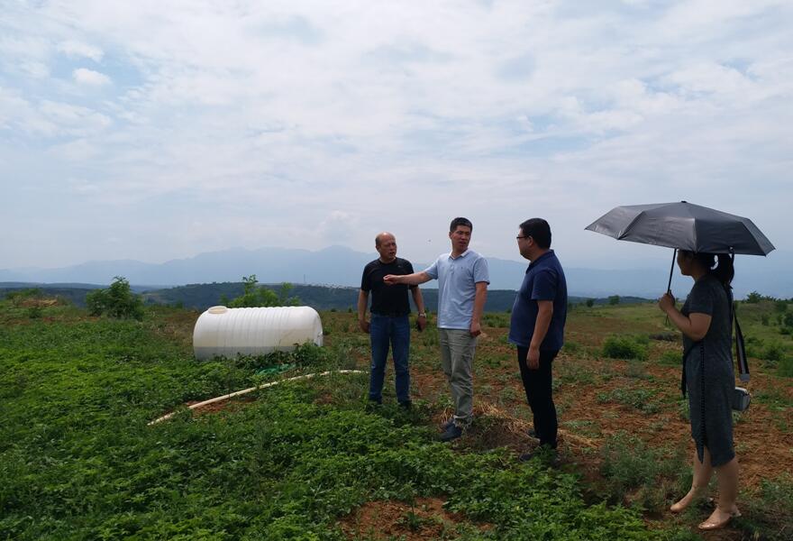 1562298610369040.jpg 1562298610369040.jpg