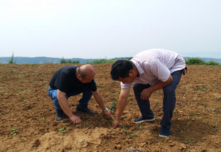 1564977268140468.jpg 1564977268140468.jpg